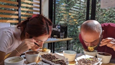 Why Does Coffee Taste Sour? Understanding Acidity in Coffee
