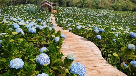 Why Da Lat Is Known as Vietnam