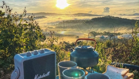 Why People Always Want to Come Back to Da Lat | The Hidden Charm of Vietnam’s Highlands