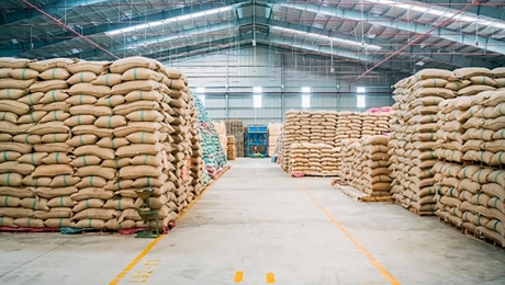 How to Store Green Coffee Beans: Protecting Quality Before Roasting