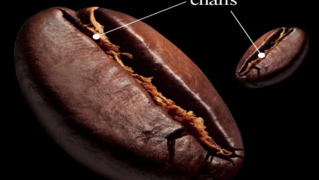 What Is Coffee Chaff? The Lightest Byproduct of Coffee Roasting