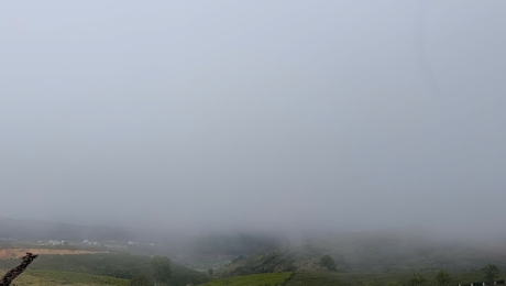 Misty Mornings in Cau Dat – Where Coffee Begins