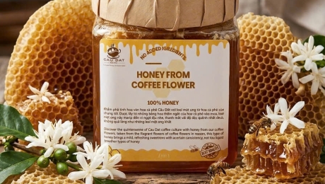 Coffee Blossom Honey – A Gentle Taste from the Highlands 🍯