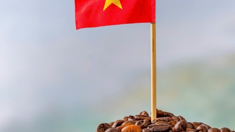 Vietnamese Morning Coffee Culture – A Slow Start to the Day