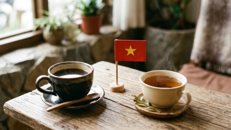 A Cup of Vietnam – From Highlands to Your Hands