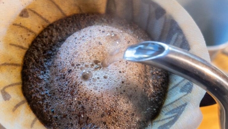 How Roast Development Shapes Coffee Flavor: A Guide for Coffee Roasters