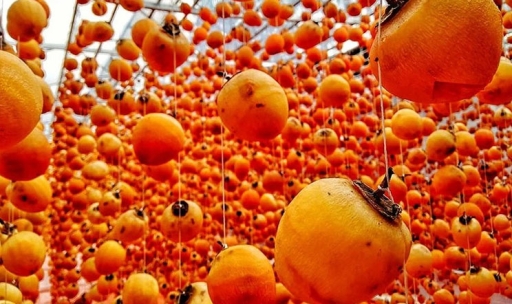 NÔNG SẢN SẤY LẠNH 