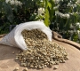 Why Moisture Content Matters in Green Coffee Beans