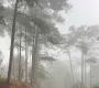 Why Rain Makes Da Lat Even More Beautiful