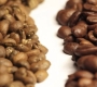 Arabica vs Robusta – What Makes Cau Dat Coffee Different?