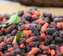 Mulberries – One of Da Lat’s Most Underrated Fruits 🍇