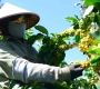 What Does Coffee Balance Mean? Understanding Flavor Balance in Coffee  Từ khóa chính: