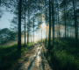 Why Da Lat Feels Cooler Than Other Places