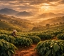 The People Behind Every Cup of Coffee