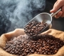 How to Choose Coffee Beans for a Café: A Practical Buying Guide