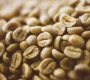 Why Green Coffee Density Matters | Guide for Coffee Roasters