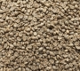 What Is Coffee Bean Color? What Green Coffee Color Can Tell You