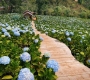 Why Da Lat Is Known as Vietnam