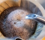 How Roast Development Shapes Coffee Flavor: A Guide for Coffee Roasters