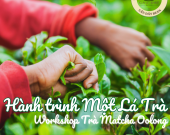 🍵 WORKSHOP TRÀ MATCHA OOLONG – HƠI THỞ TỪNG LÁ TRÀ, HƯƠNG VỊ TỪNG KHOẢNH KHẮC