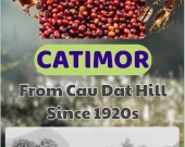 Arabica High quality