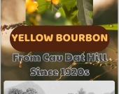 Yellow Bourbon hạt xay