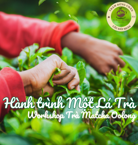 🍵 WORKSHOP TRÀ MATCHA OOLONG – HƠI THỞ TỪNG LÁ TRÀ, HƯƠNG VỊ TỪNG KHOẢNH KHẮC