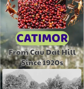 Arabica High quality