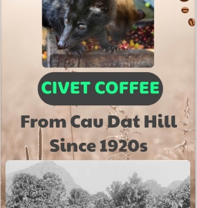Civet Cafe