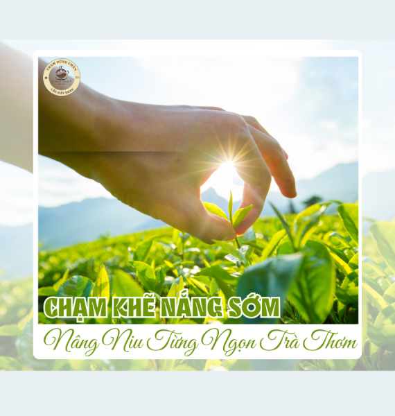 🍵 WORKSHOP TRÀ MATCHA OOLONG – HƠI THỞ TỪNG LÁ TRÀ, HƯƠNG VỊ TỪNG KHOẢNH KHẮC