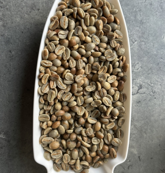 ARABICA