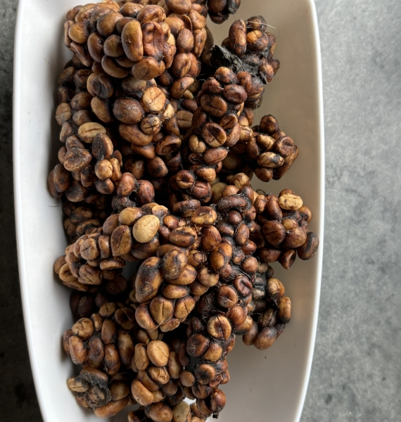 Civet Coffee