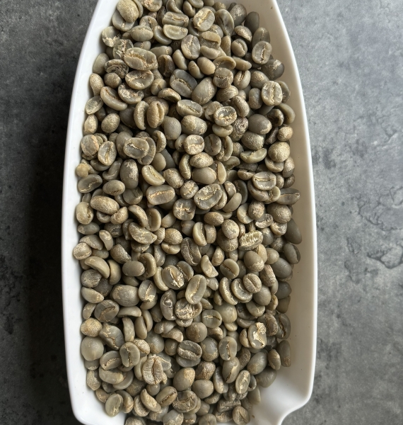 Caudatbean  Arabica
