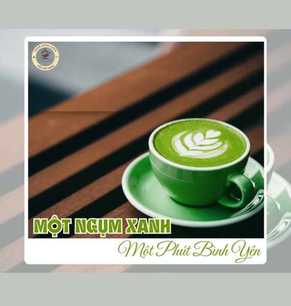 🍵 WORKSHOP TRÀ MATCHA OOLONG – HƠI THỞ TỪNG LÁ TRÀ, HƯƠNG VỊ TỪNG KHOẢNH KHẮC