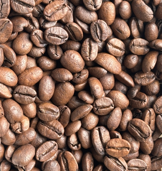 ARABICA MOKA