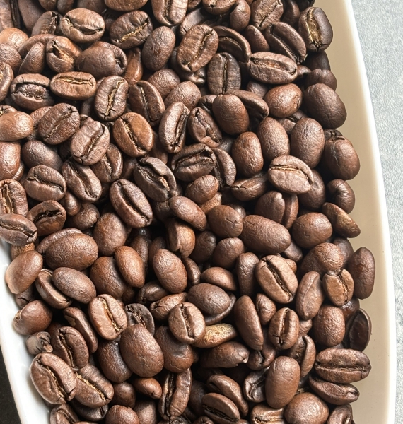 ARABICA