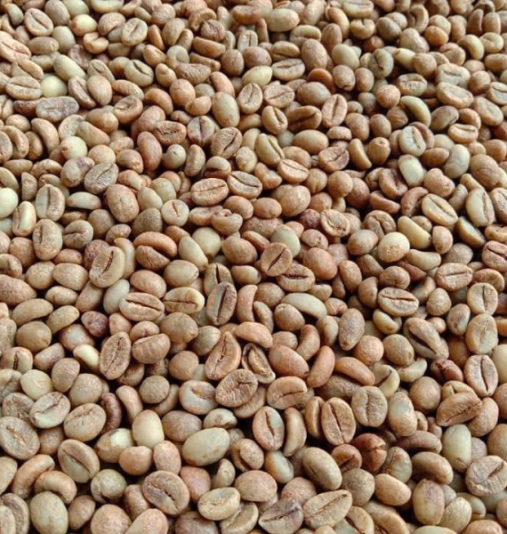 Robusta high quality