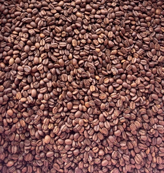 Arabica Clean