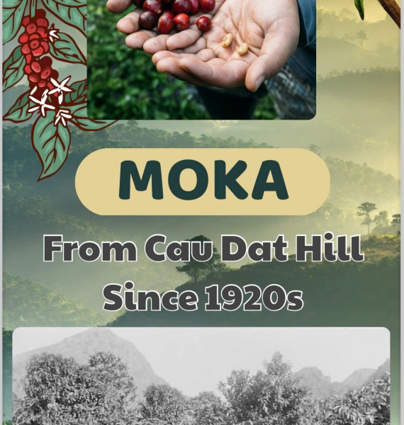 Moka hạt xay